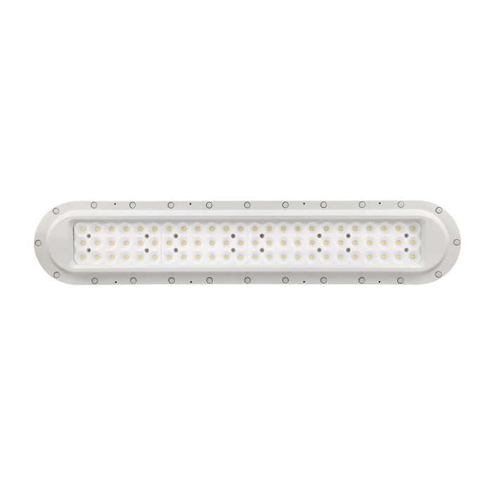 Westgate EXPL 40W Hazardous Location Flood/Highbay Light