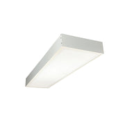 Nora NPDBL-14DDFK Surface Mounting Frame for 1'x4' LED Backlit Panels with Emergency