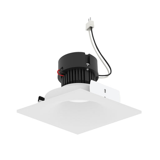 Nora NPRLV-4SNBCDX 4" Pearl 10W LED Square Bullnose Retrofit, Comfort Dim, 750 Lumens, 12V - Warm White