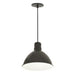 Nora NRLM-10 10" 23W RLM LED Shade, 120V/277V, Cable Mount - Black/White