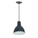 Nora NRLM-8  8" 30W RLM LED Shade, 120V/277V, Cable Mount - Black/White