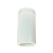 Nora NYLS3-6S Sapphire III 6" 16W LED Cylinder, 1500 lm, Surface Mount, 120V - White/White/White