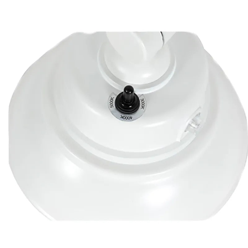 Westgate GNB 25W LED Gooseneck Barn Light, CCT Selectable, 3000lm, 120-277V