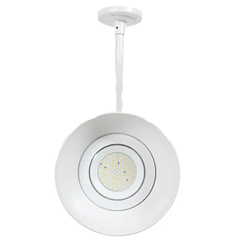 Westgate GNB 25W LED Gooseneck Barn Light, CCT Selectable, 3000lm, 120-277V