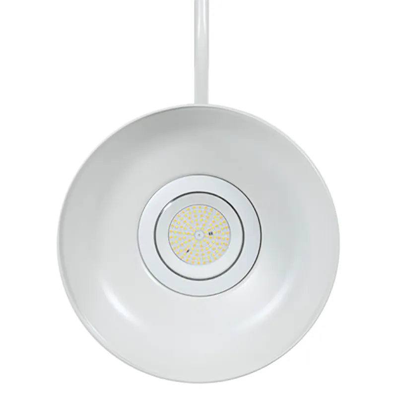 Westgate GNB 40W LED Gooseneck Barn Light, CCT Selectable, 0-10 Dimming, 4800 Lumens, 120-277V